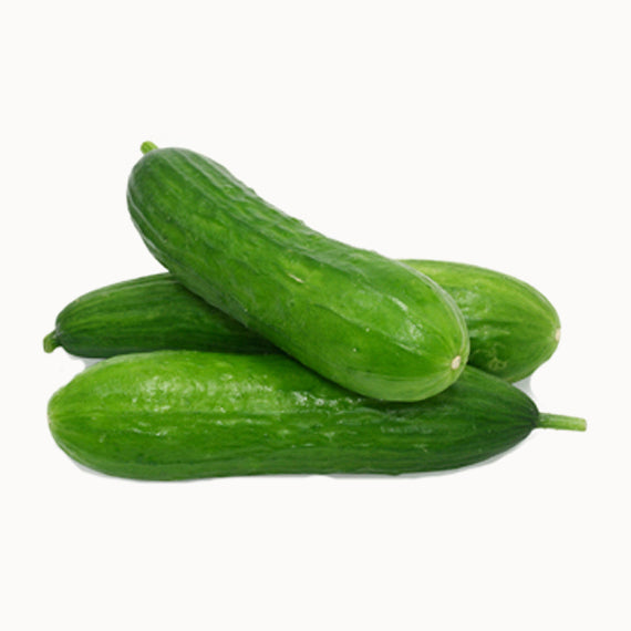 Cucumber