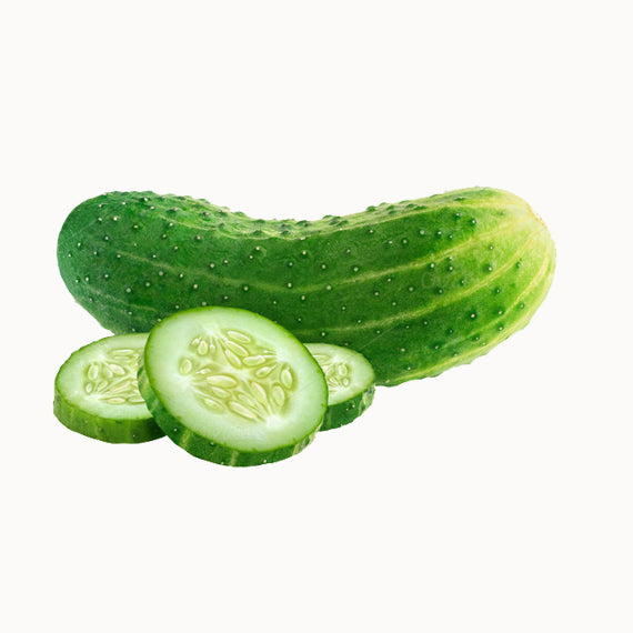 Cucumber