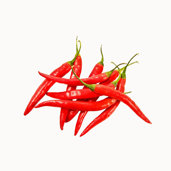 Hot Chilli Pepper
