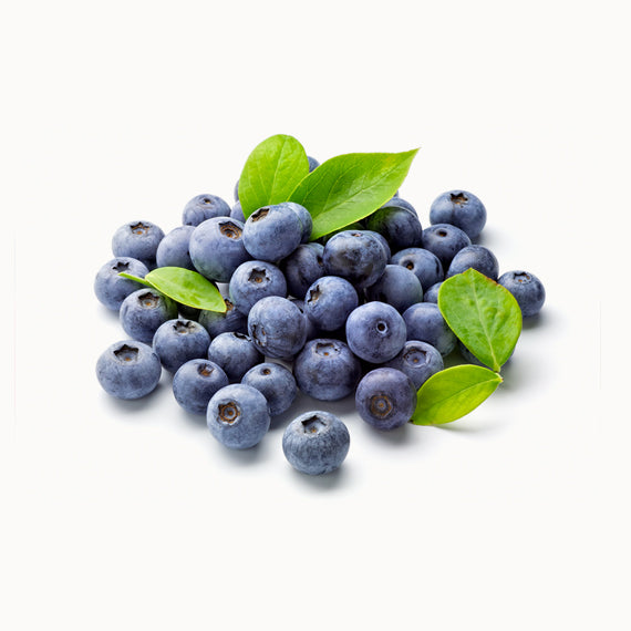 Fresh Bluberry
